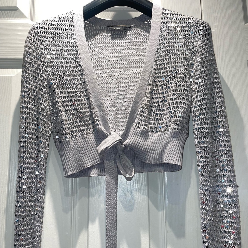 ON SALE! BCBG Silver Silk&Sequin cropped top. Small